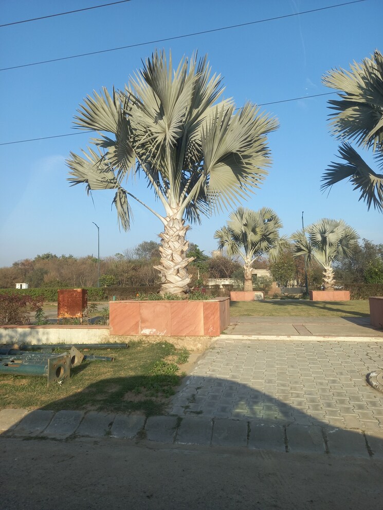 Exterior View, sector 109  300 Sq.Yd. Plot In Sector 109 Mohali 8177217