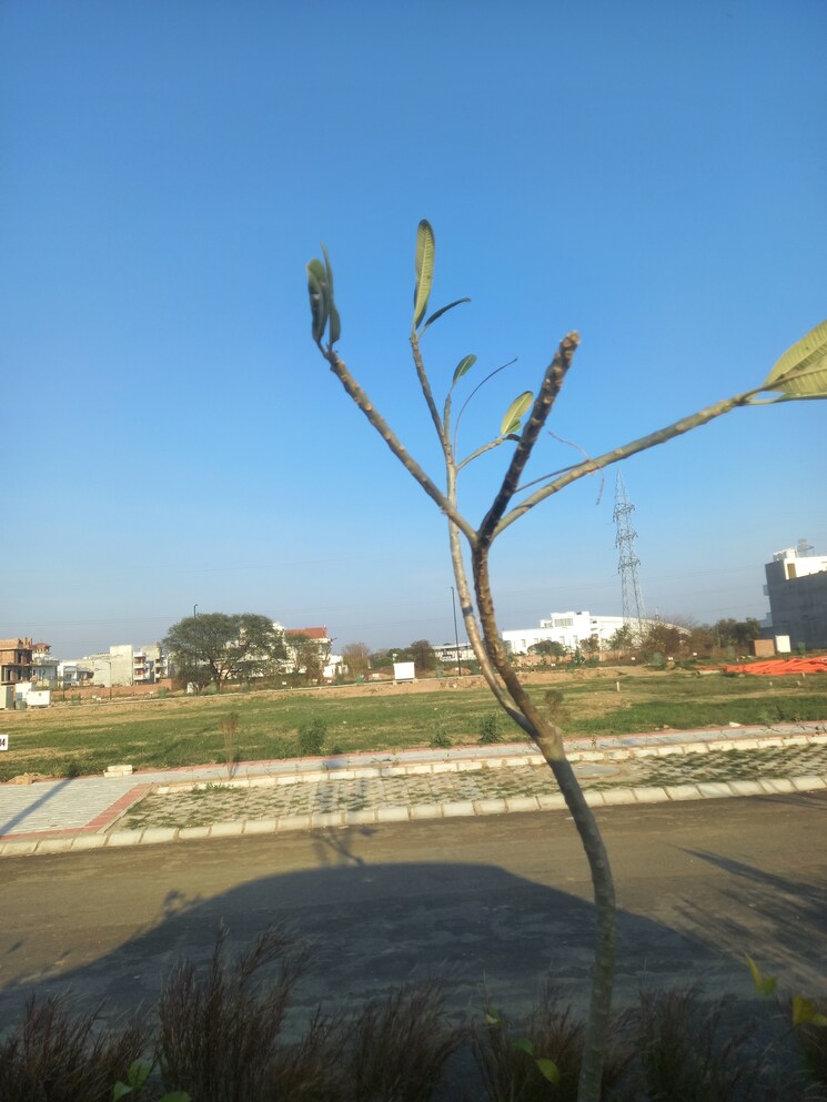 Exterior View, sector 109  300 Sq.Yd. Plot In Sector 109 Mohali 8177234