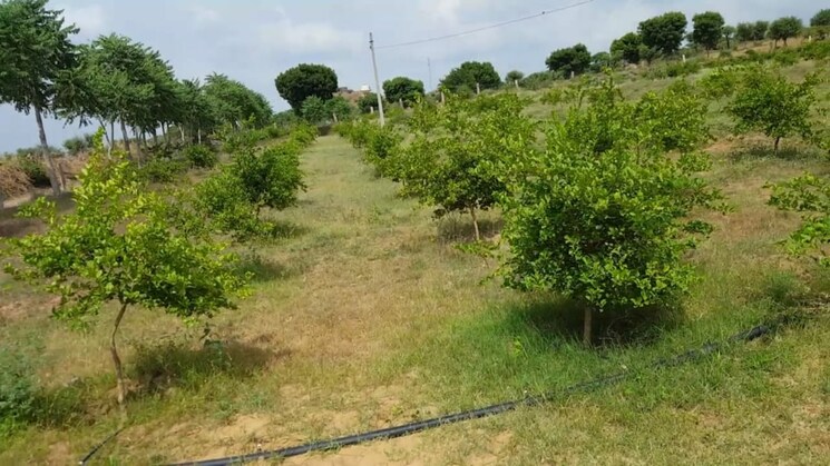 undefined, delhi jaipur expressway  24000 Sq.Yd. Plot In DelhI Jaipur Expressway Jaipur 8177246