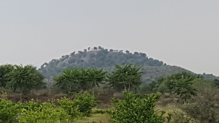 undefined, delhi jaipur expressway  24000 Sq.Yd. Plot In DelhI Jaipur Expressway Jaipur 8177246