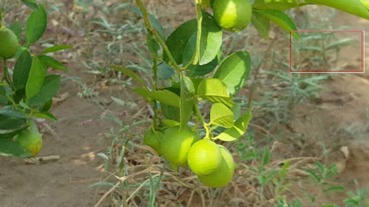 Map Location, delhi jaipur expressway  24000 Sq.Yd. Plot In DelhI Jaipur Expressway Jaipur 8177246