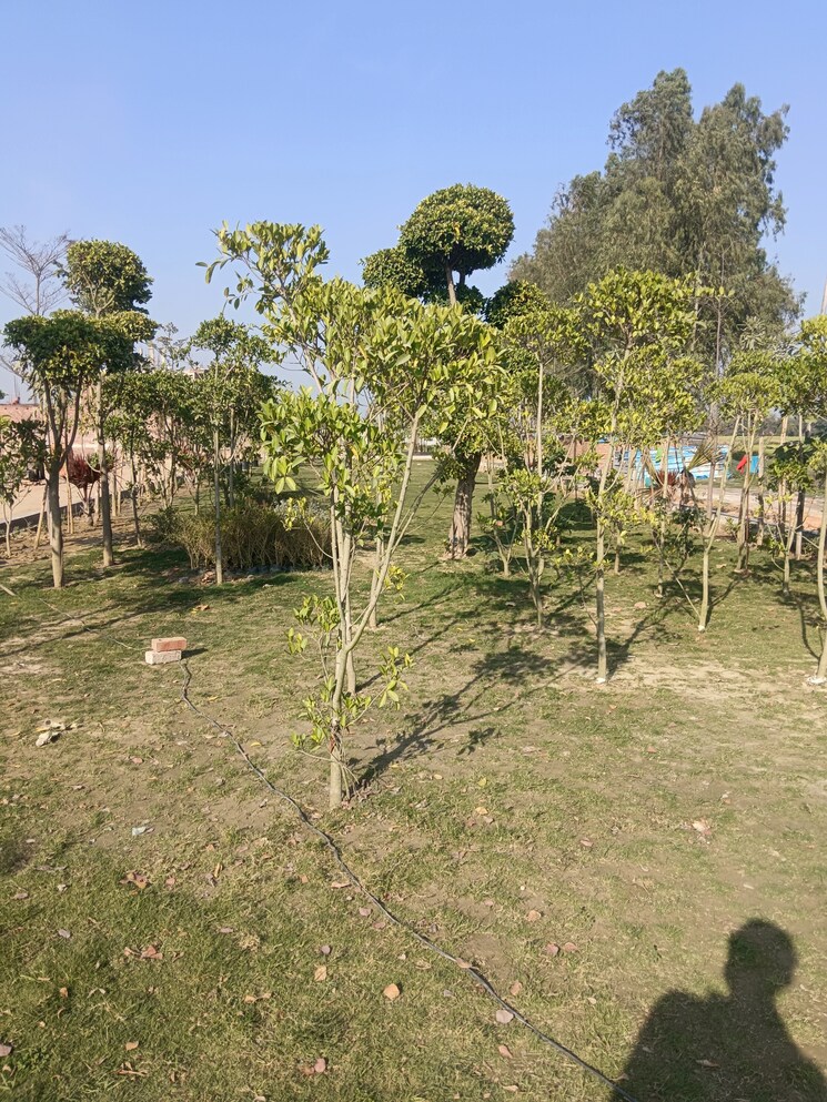 Master Bedroom, gomti nagar 5 Bedroom 2450 Sq.Ft. Villa In Gomti Nagar Lucknow 8177410