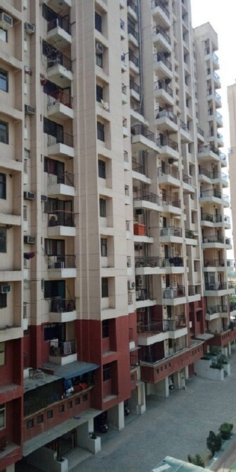 3 BHK Apartment For Resale in SDS NRI Residency Omega II Omega Ii Greater Noida Greater Noida  8177462