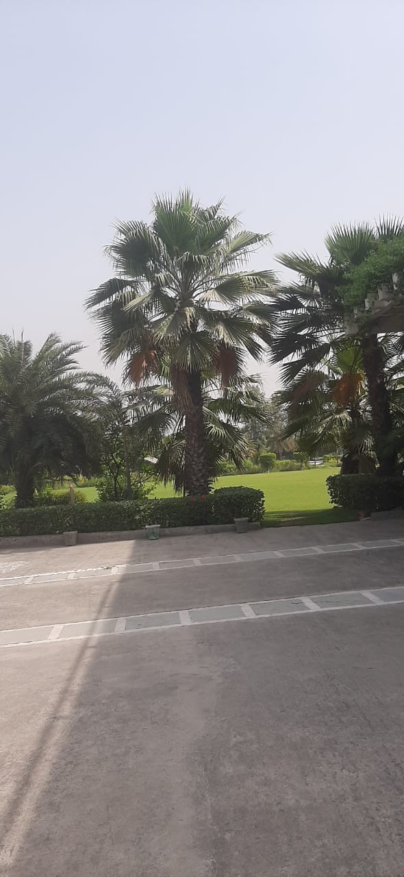 Plot For Sale in BPTP Amstoria