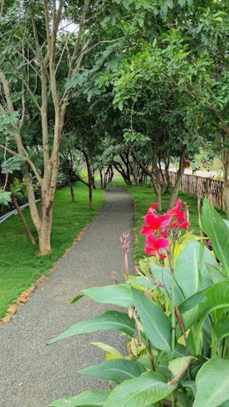 Garden, shankarpalli  200 Sq.Yd. Plot In Shankarpalli Hyderabad 8177949