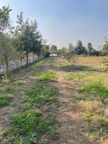 Master Bedroom in 2 BHK Villa at New Chandigarh – for Sale