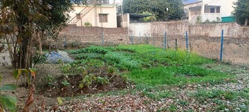 Plot Area in  Plot at Malsi – for Sale