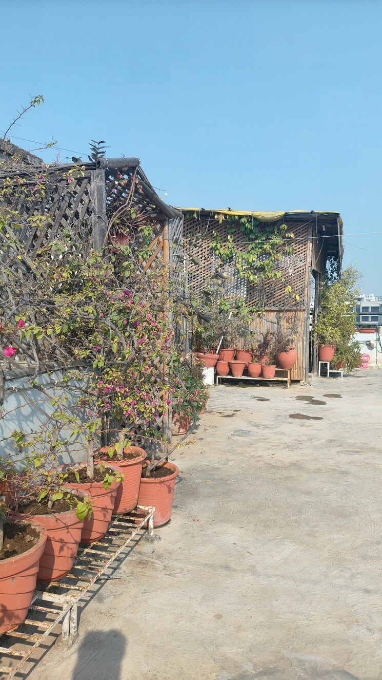 Exterior View, ambala highway 3 Bedroom 200 Sq.Yd. Apartment In Ambala Highway Zirakpur 8178151