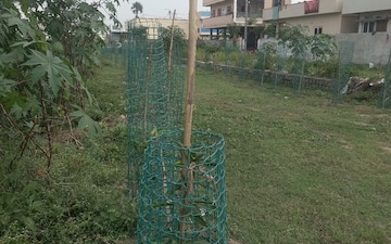 Plot For Sale in Vanasthalipuram