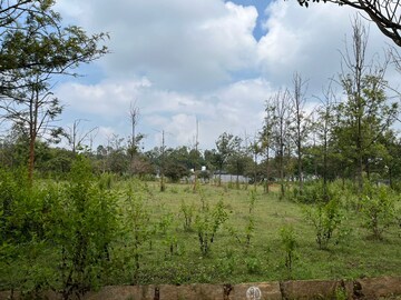 Plot For Resale in Airport Park NRI World Devanahalli Bangalore  8178222