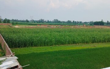 Plot For Sale in Jewar
