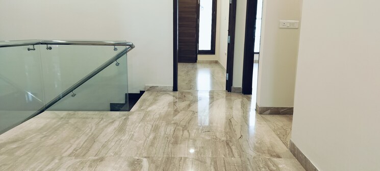 Room, sector 36 6+ Bedroom 205 Sq.Mt. Independent House In Sector 36 Noida 8178491