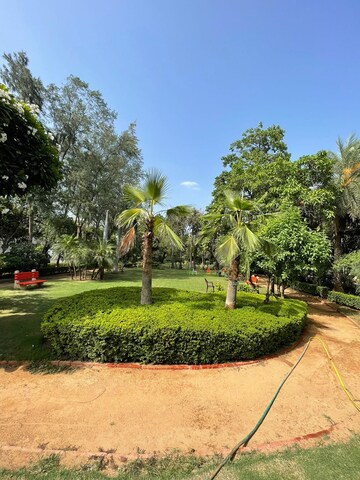 1 BHK Builder Floor – Garden View at DLF City Phase V, Dlf Phase V - for Rent