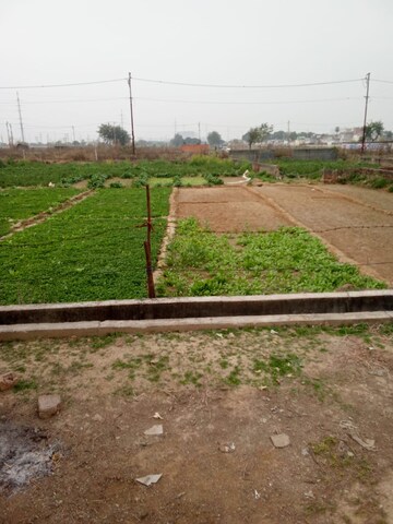  Plot For Sale in Jewar