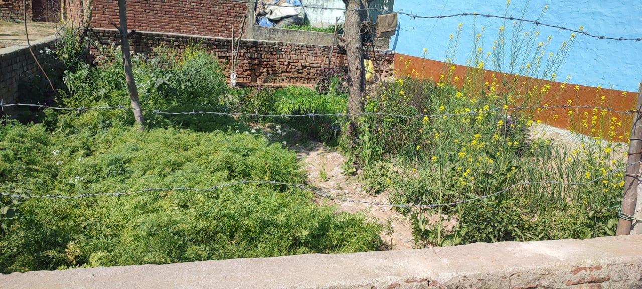 Plot For Sale in Khurja Siddheshwar Mandir