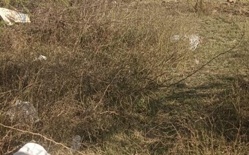Plot For Sale in Jewar