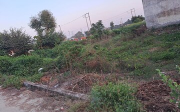 Plot For Sale in Upsidc Site B