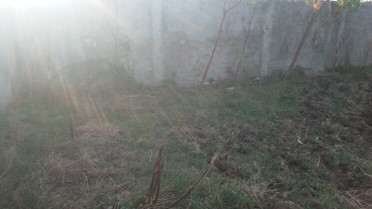 undefined, barbodhan Commercial Land 3200 Sq.Ft. In Barbodhan Surat 8179517