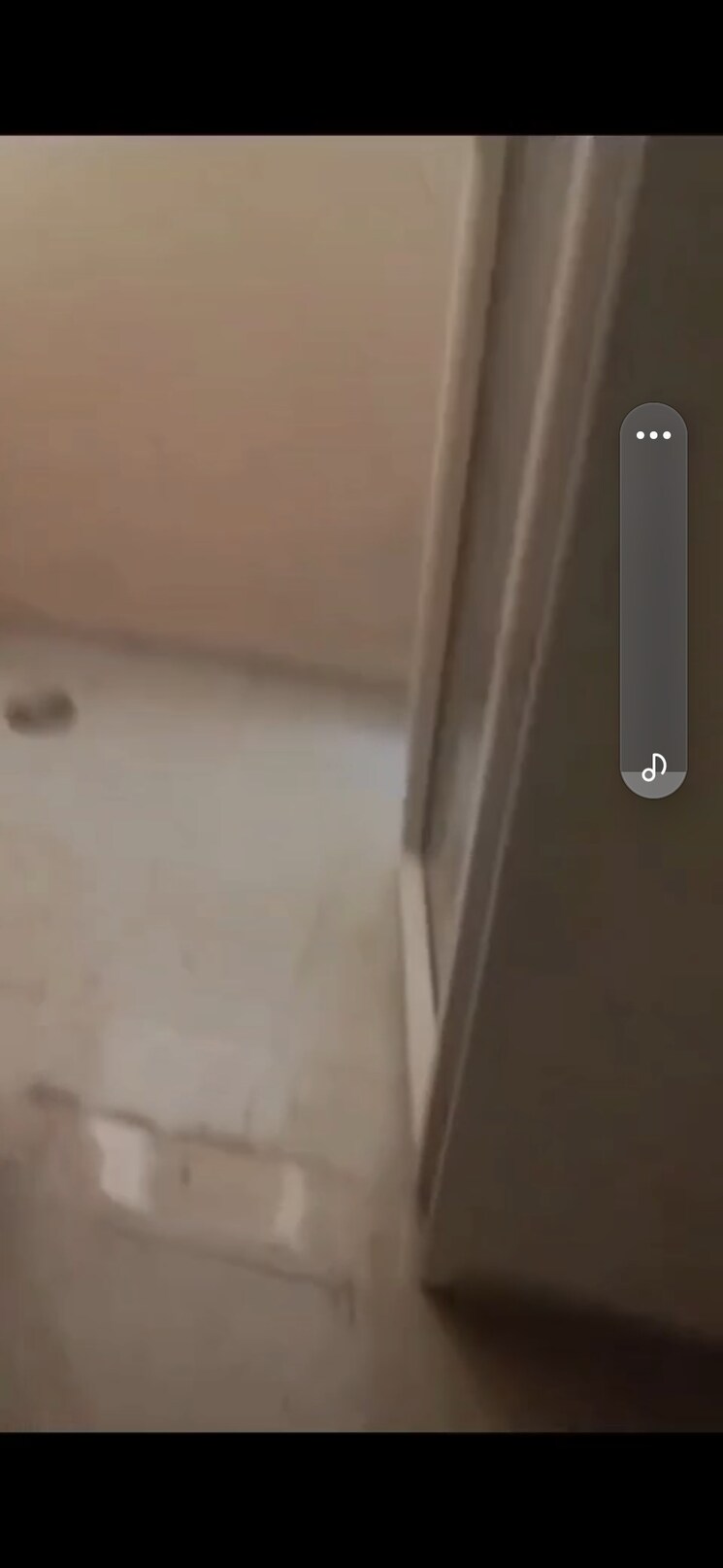 undefined, signature-the-millennia-2 2 Bedroom 625 Sq.Ft. Apartment In Sector 37d Gurgaon 8179575