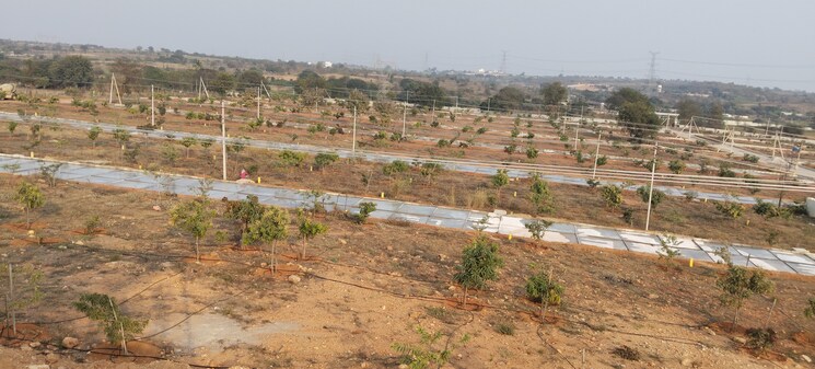 undefined, arising-peacock-valley  185 Sq.Yd. Plot In Kadthal Hyderabad 8179797