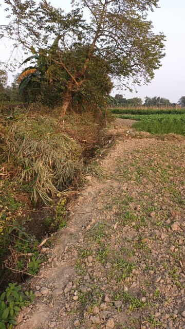 Plot Area in  Plot at Sonarpur – for Sale