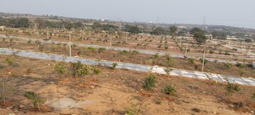 Plot Area in  Plot at Kadthal – for Sale