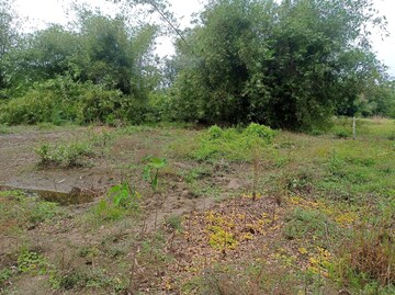 Plot Area in  Plot at Sonarpur – for Sale