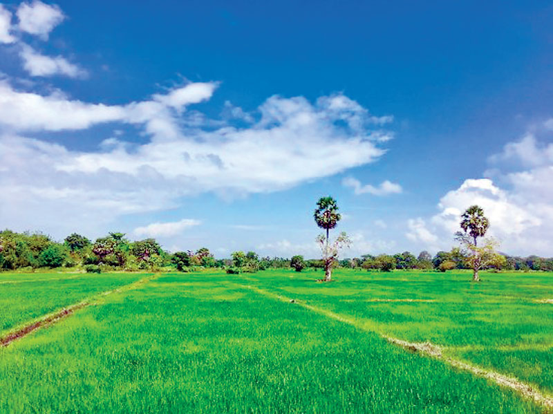 Land For Sale in Desire Properties