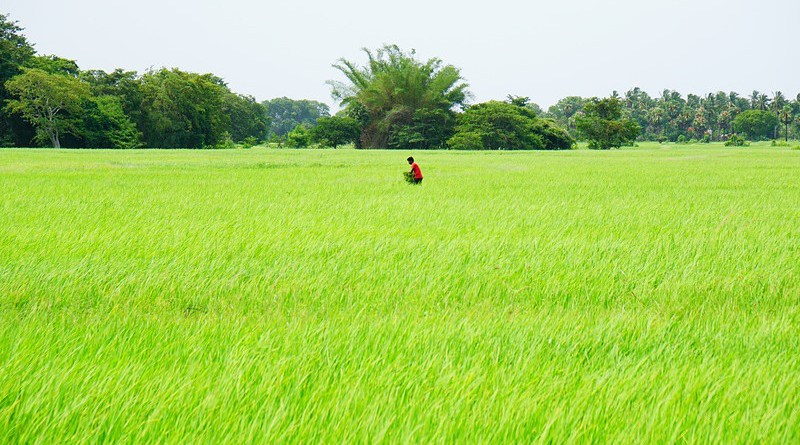 Land For Sale in Desire Properties