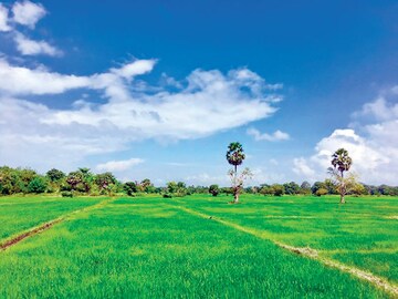  Land For Sale in Patiala Road