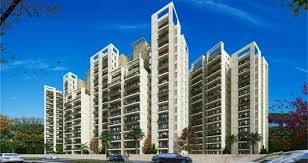 2 BHK Apartment For Sale in ROF Amaltas