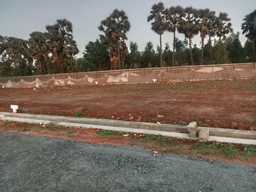  Plot For Sale in Kothavalasa
