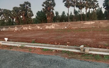 Plot For Sale in Kothavalasa