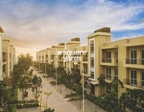 3 BHK Builder Floor For Rent in BPTP Parkland Pride, Sector 77