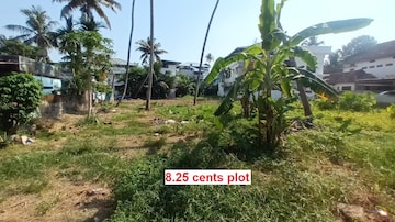 Plot For Resale in Pachalam Kochi  8180826