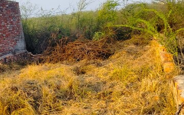 Plot For Sale in Upsidc Site B