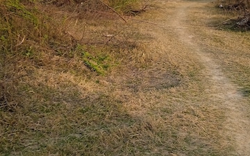 Plot For Sale in Upsidc Site B