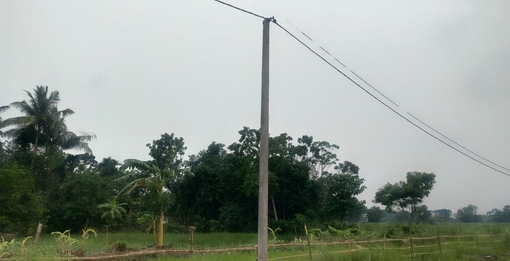 Garden, amtala  2160 Sq.Ft. Plot In Amtala Kolkata 8181217