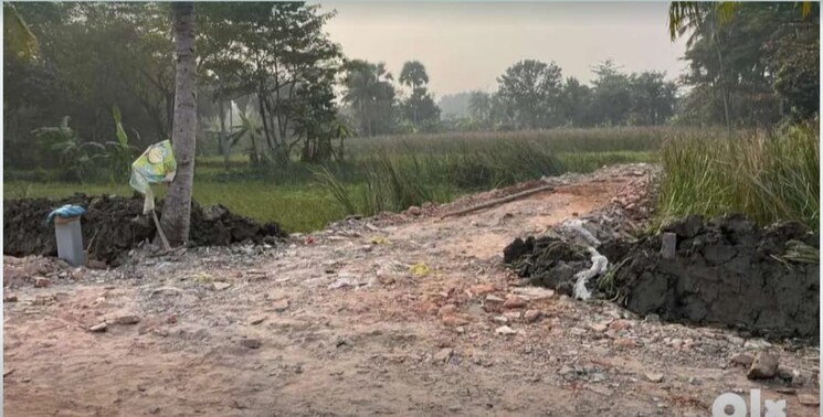 undefined, amtala  2160 Sq.Ft. Plot In Amtala Kolkata 8181217