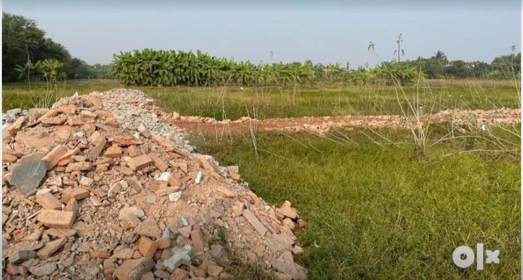 undefined, amtala  2160 Sq.Ft. Plot In Amtala Kolkata 8181217