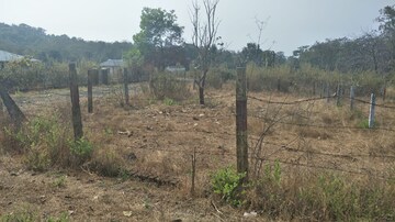 Plot Area in  Plot at New Colony – for Sale