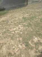 311 Sq.Yd. Plot in Sector 80 Huda 