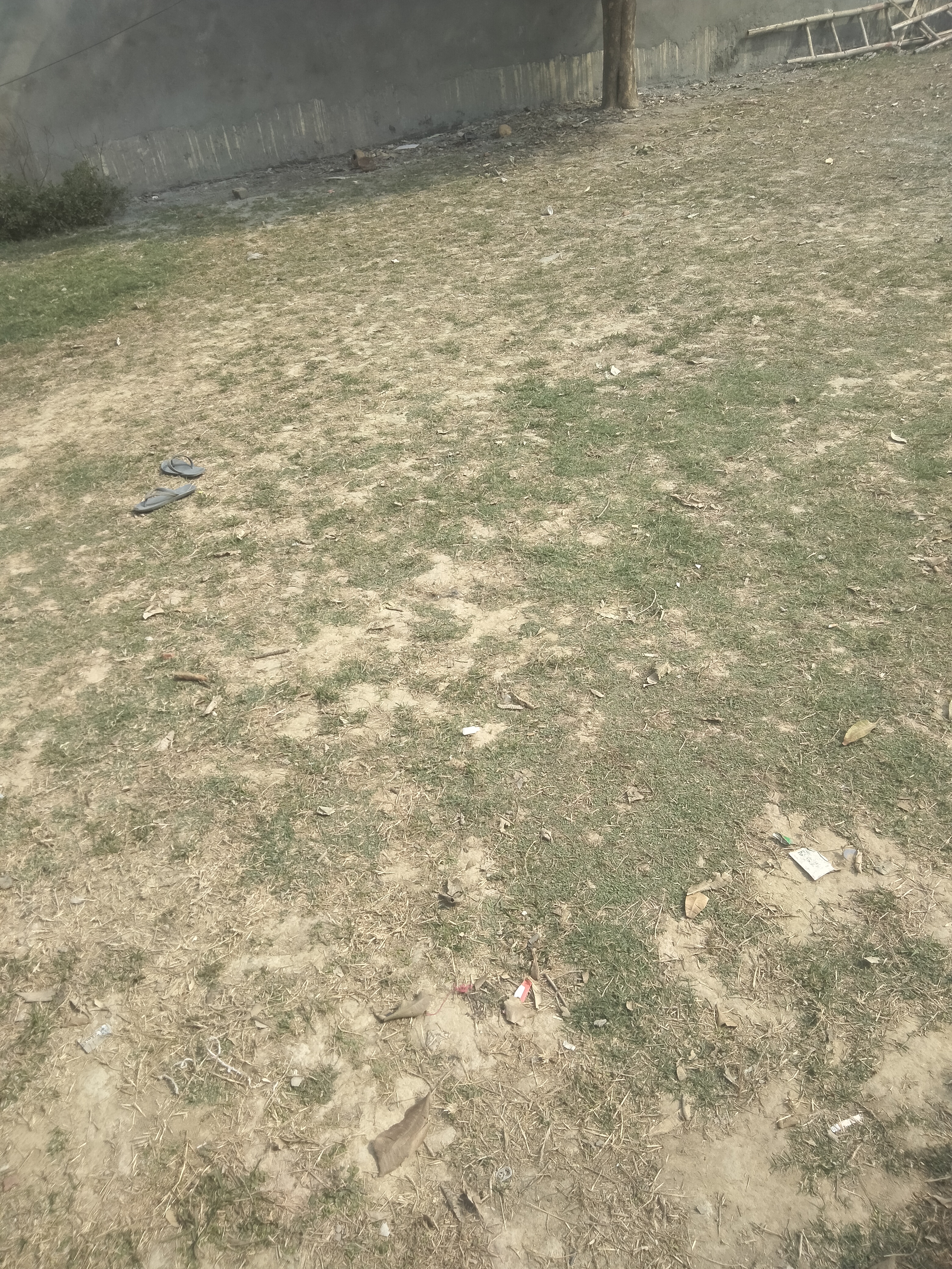 Plot For Sale in Sector 80 Huda 