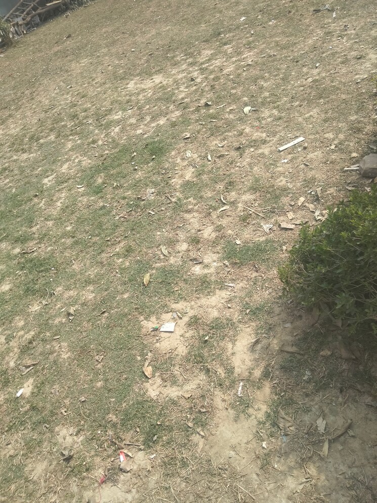 Garden, sector 80  311 Sq.Yd. Plot In Sector 80 Faridabad 8182032