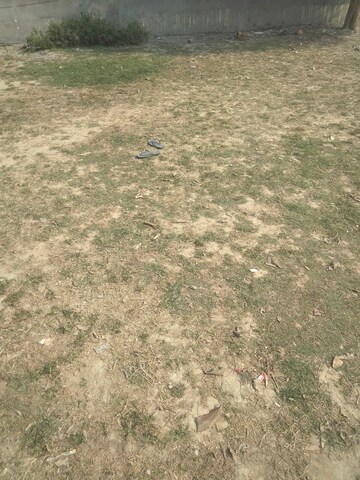 Plot Area in  Plot at Sector 80 – for Sale