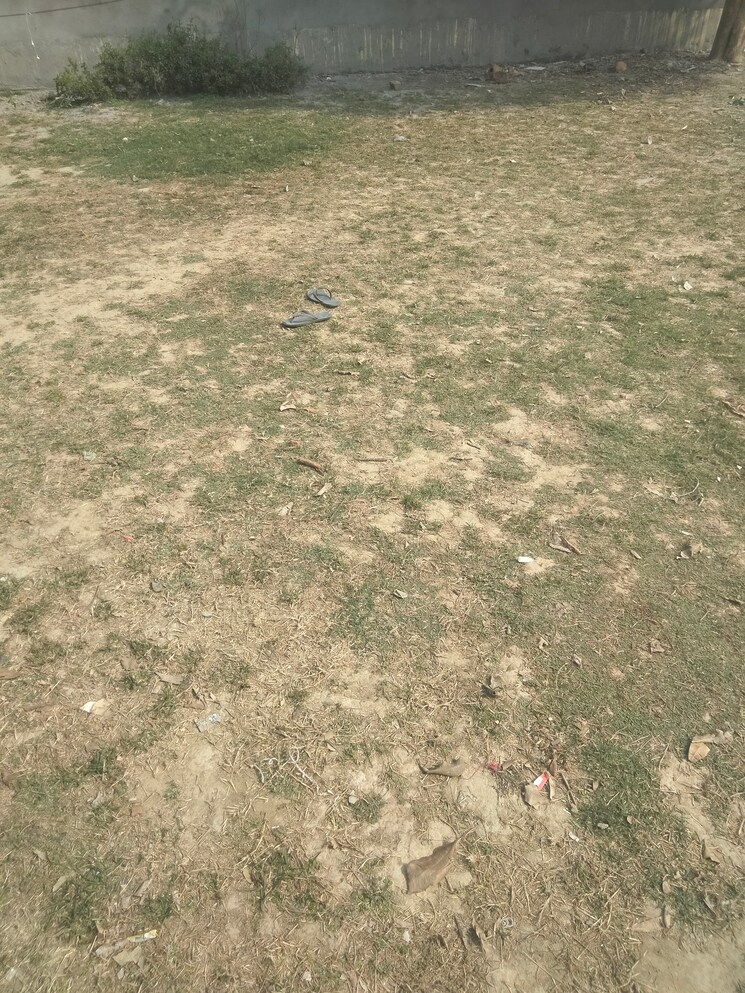 undefined, sector 80  311 Sq.Yd. Plot In Sector 80 Faridabad 8182032