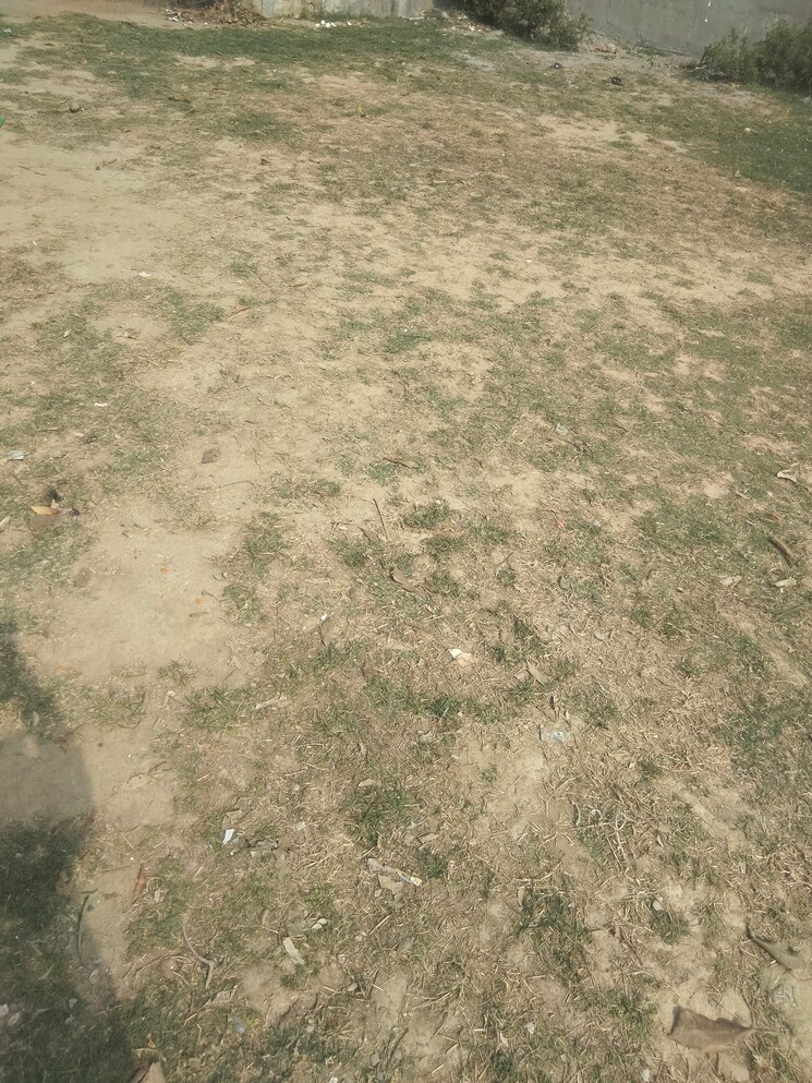 Exterior View, sector 80  311 Sq.Yd. Plot In Sector 80 Faridabad 8182032