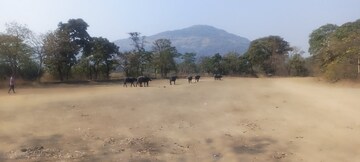 Plot Area in  Land at Kalyan Shilphata Road – for Sale