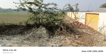 Plot Area in  Plot at Mohanlalganj – for Sale