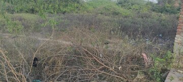 Plot Area in  Plot at Artauni – for Sale